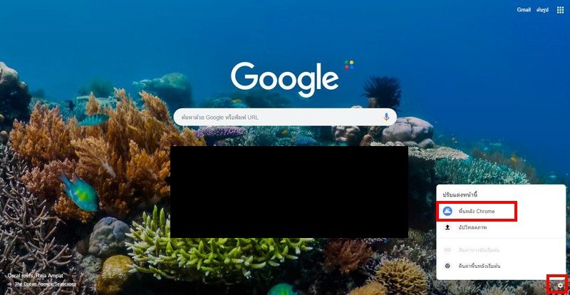 ปรับแต่งหน้าแรก Google Chrome