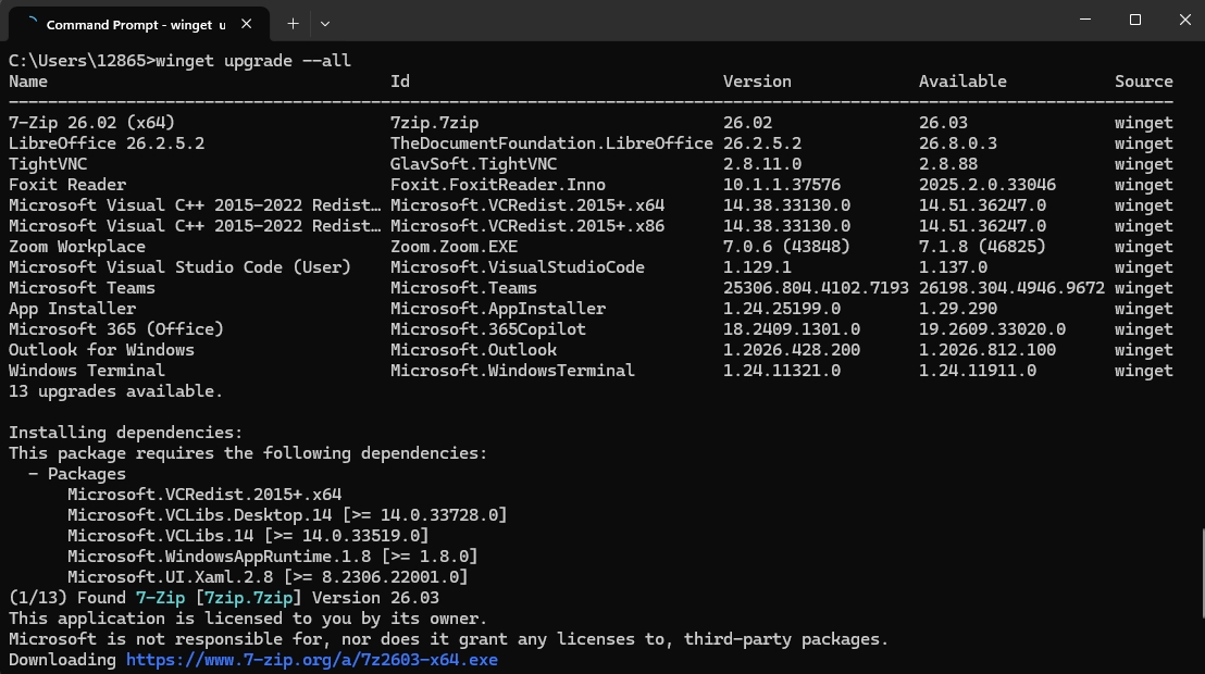 Winget (Windows Package Manager)
