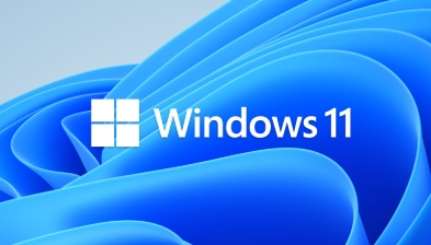 Windows 11